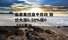 盈喜集团盘中异动 股价大涨6.50%报0.588美元